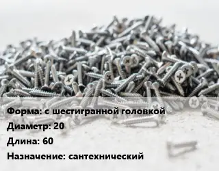 Шуруп с шестигранной головкой 20х60 сантехнический